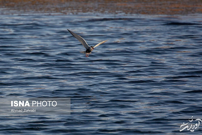 (تصاویر) طبیعت گردشگری قم